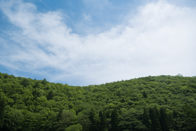 飛騨清見の眺望