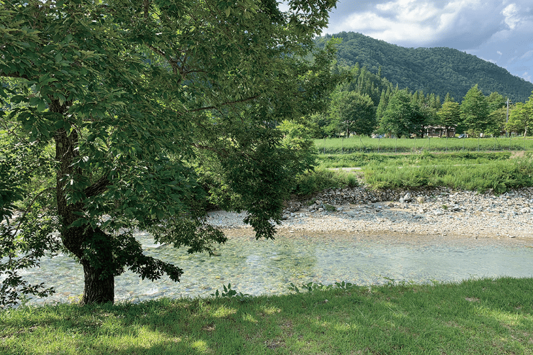 スパから見る馬瀬川