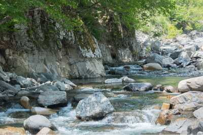 せせらぎ街道を流れる清流
