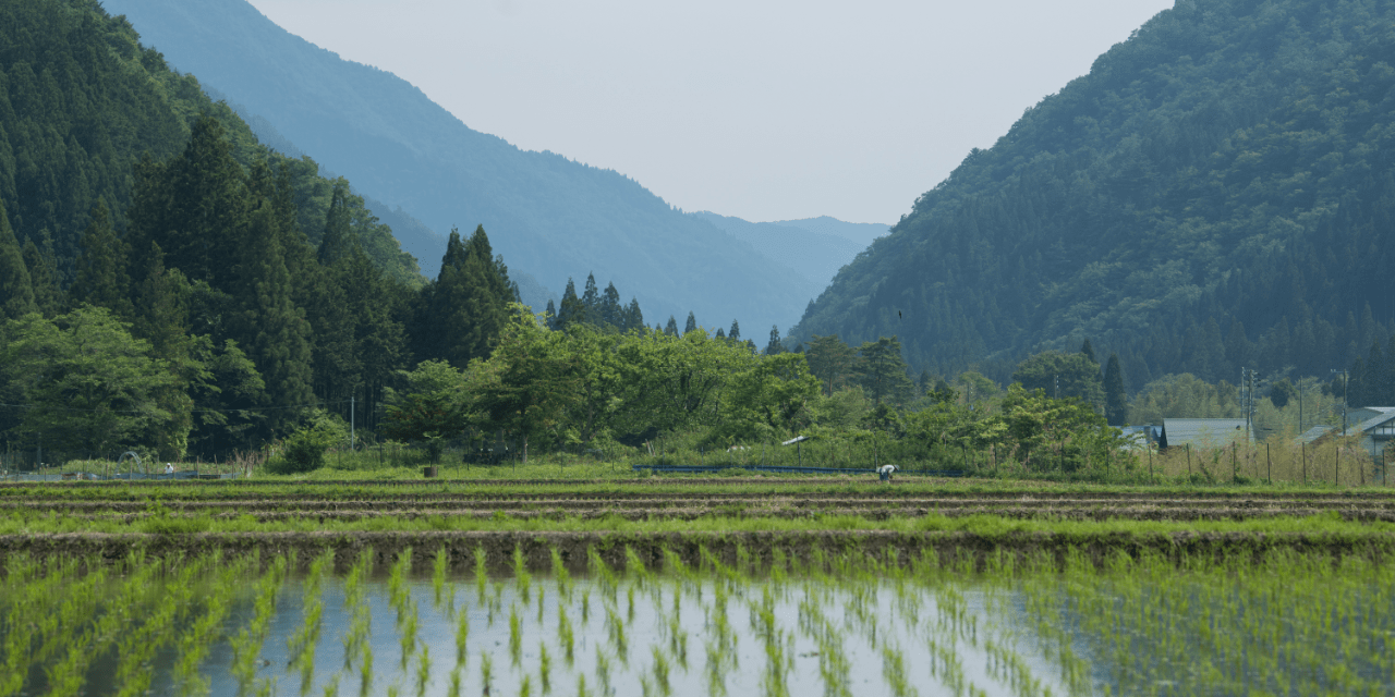 飛騨清美の田園風景